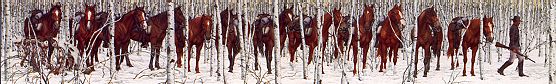 Two horses being taken by Indians from the group