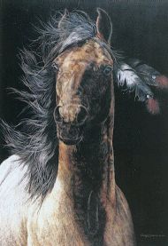 He Dog Horse with two feathers in mane and hidden face of He Dog in shading