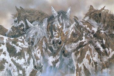 Pack Herd Group of horses in fog with hidden wolves in spots